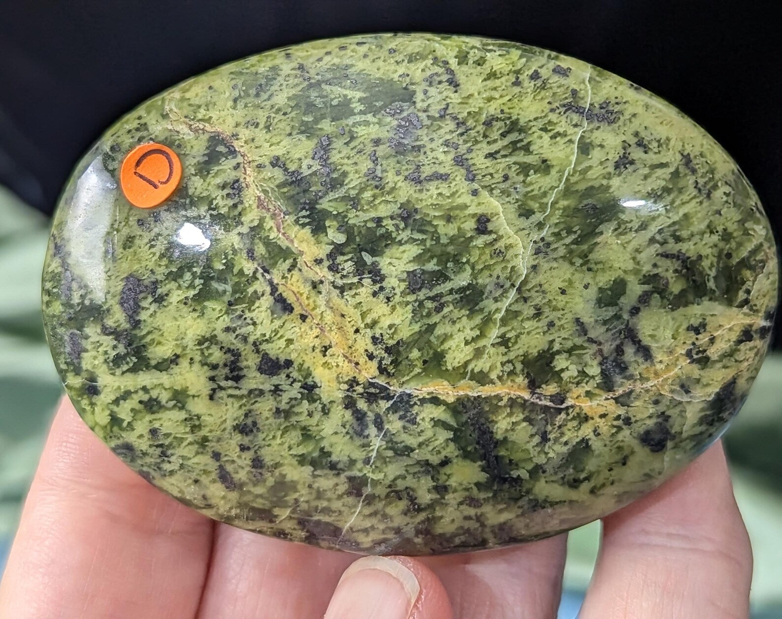Spotted Serpentine Palm Stone