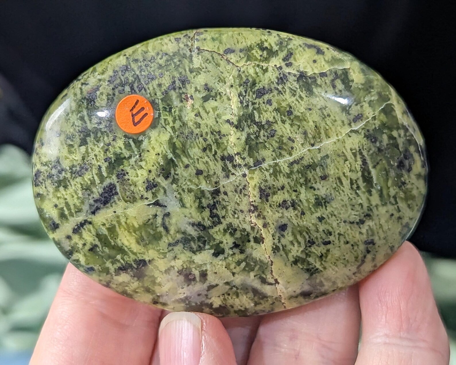 Spotted Serpentine Palm Stone
