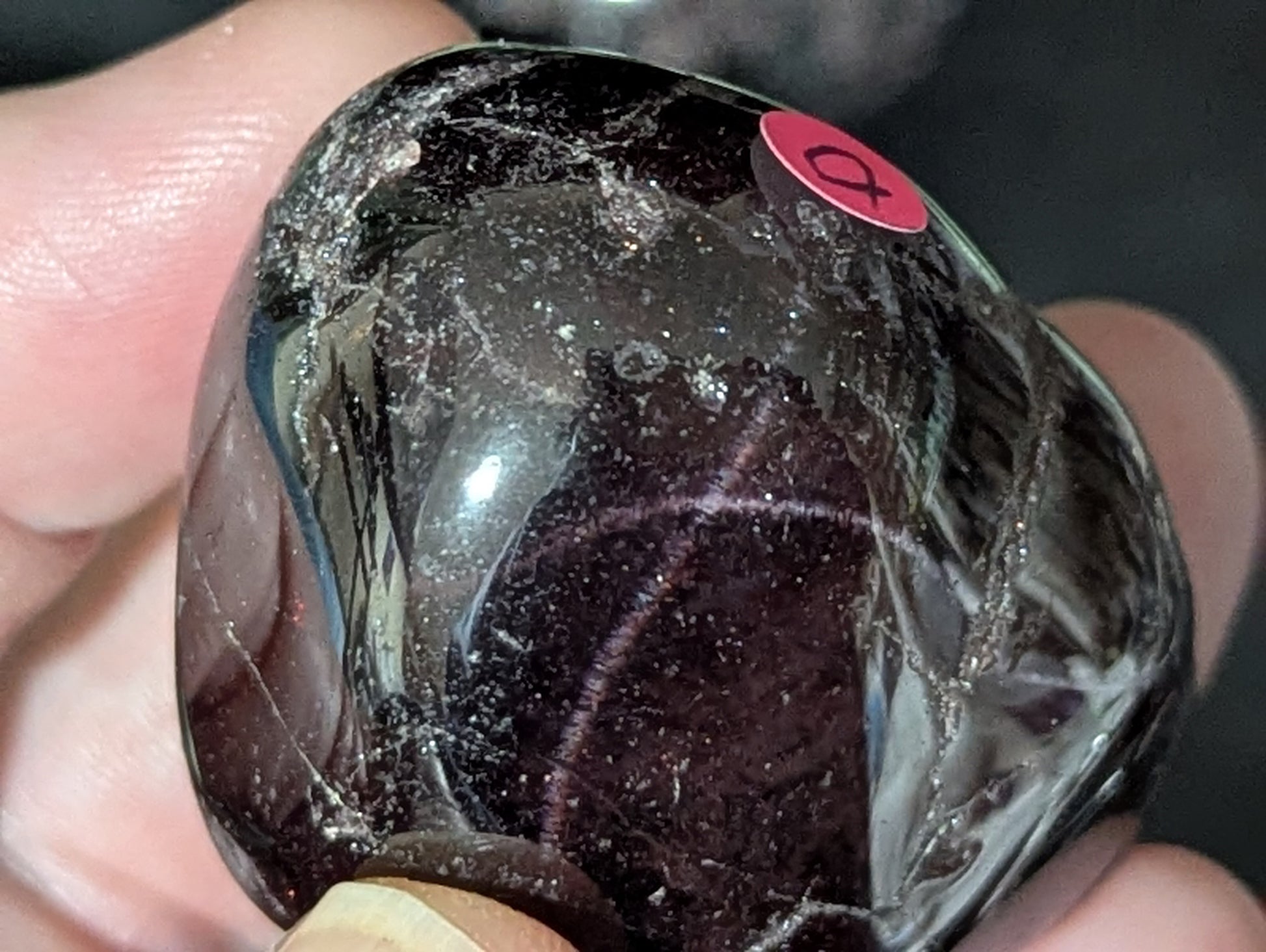 Tumbled Garnet Palm Stone