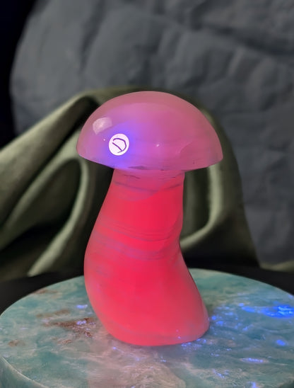 UV Reactive Pink Mangano Calcite Mushroom