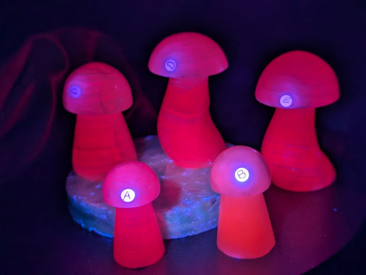 UV Reactive Pink Mangano Calcite Mushrooms