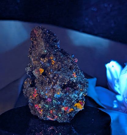 UV Reactive Pyrite in Matrix with Galena Specimen