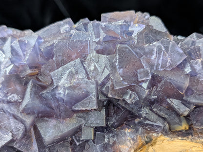 XL High Quality Cubic Purple Fluorite Specimen