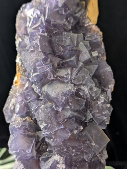 XL High Quality Cubic Purple Fluorite Specimen