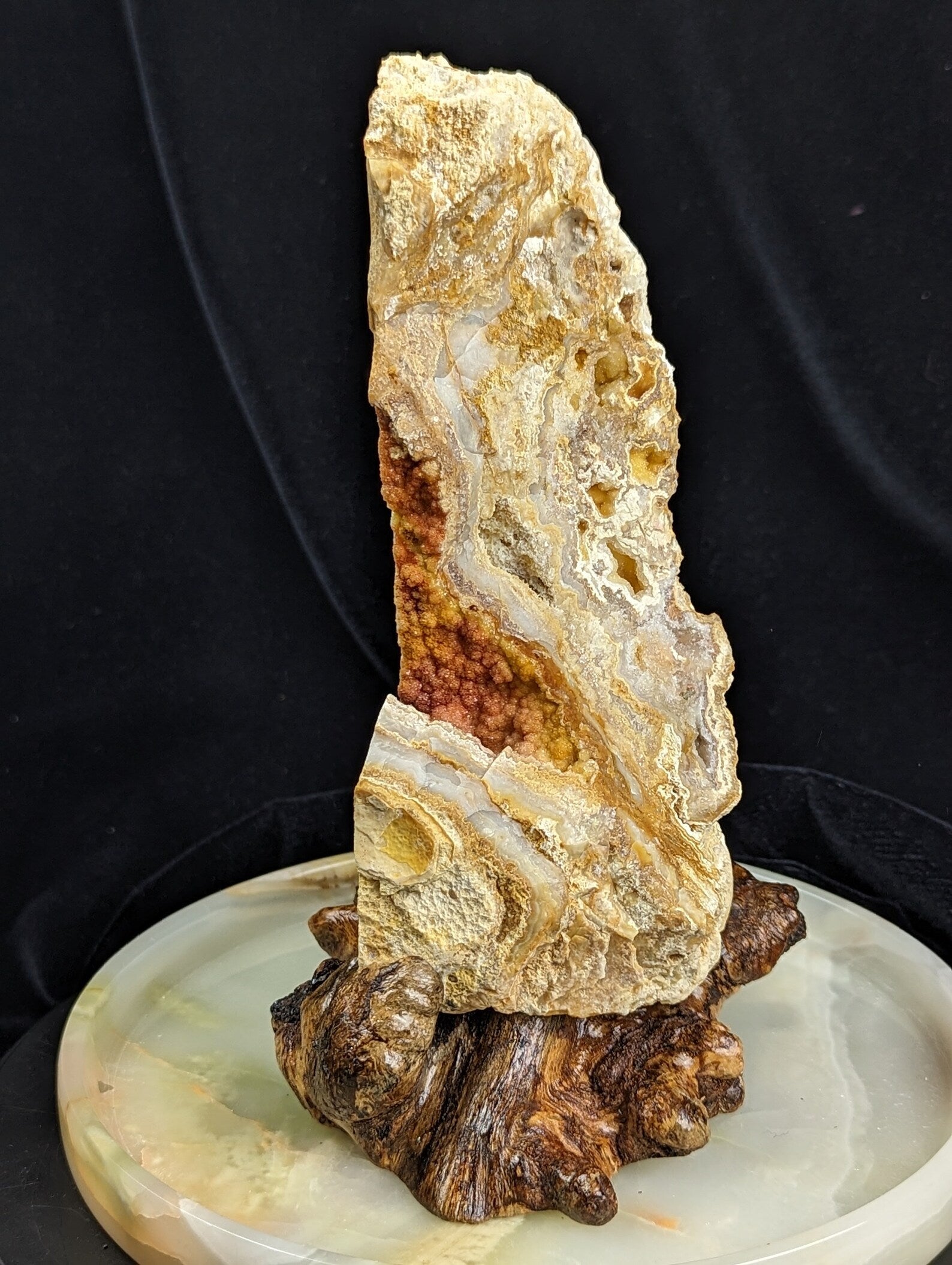Yellow Crazy Lace Agate Geode Specimen with Mistletoe Wood Stand 1A