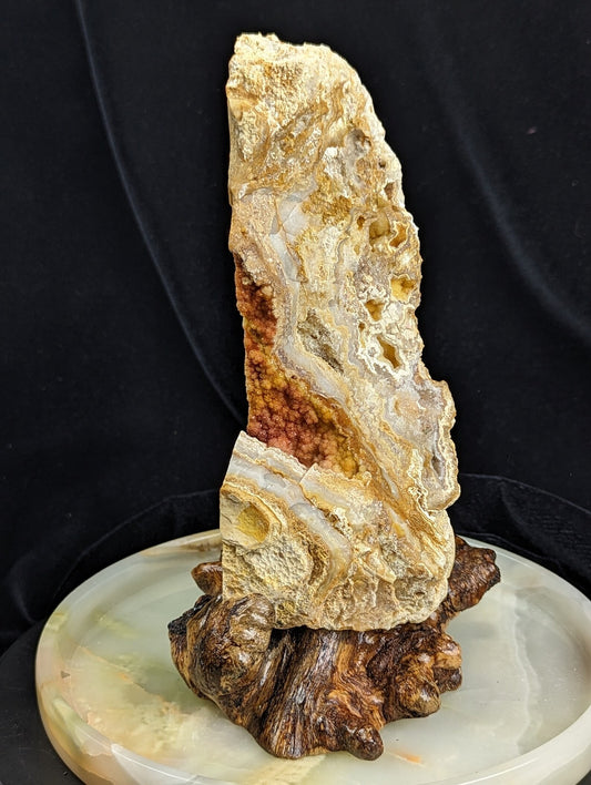 Yellow Crazy Lace Agate Geode Specimen with Mistletoe Wood Stand 1A