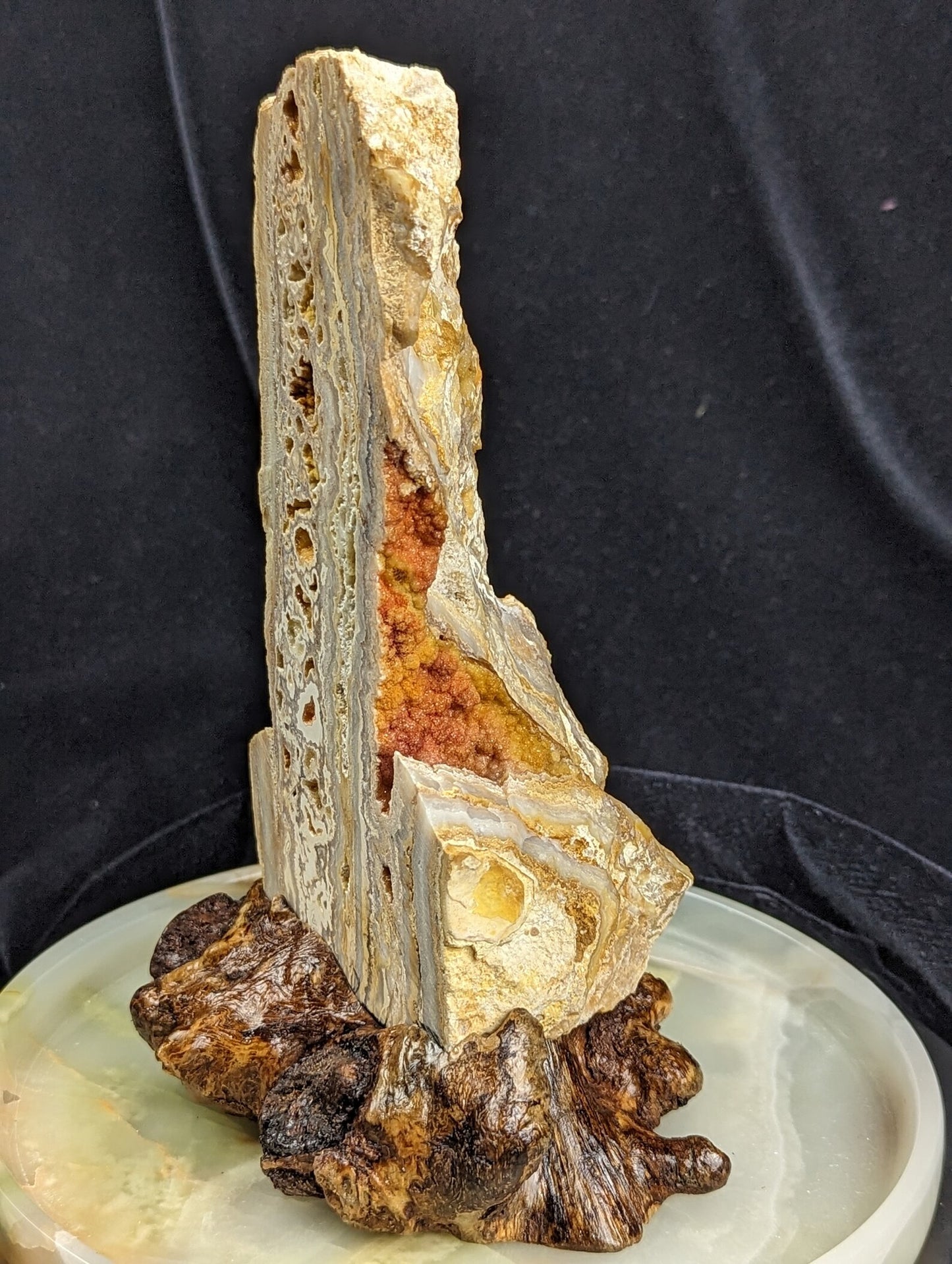 Yellow Crazy Lace Agate Geode Specimen with Mistletoe Wood Stand 1C
