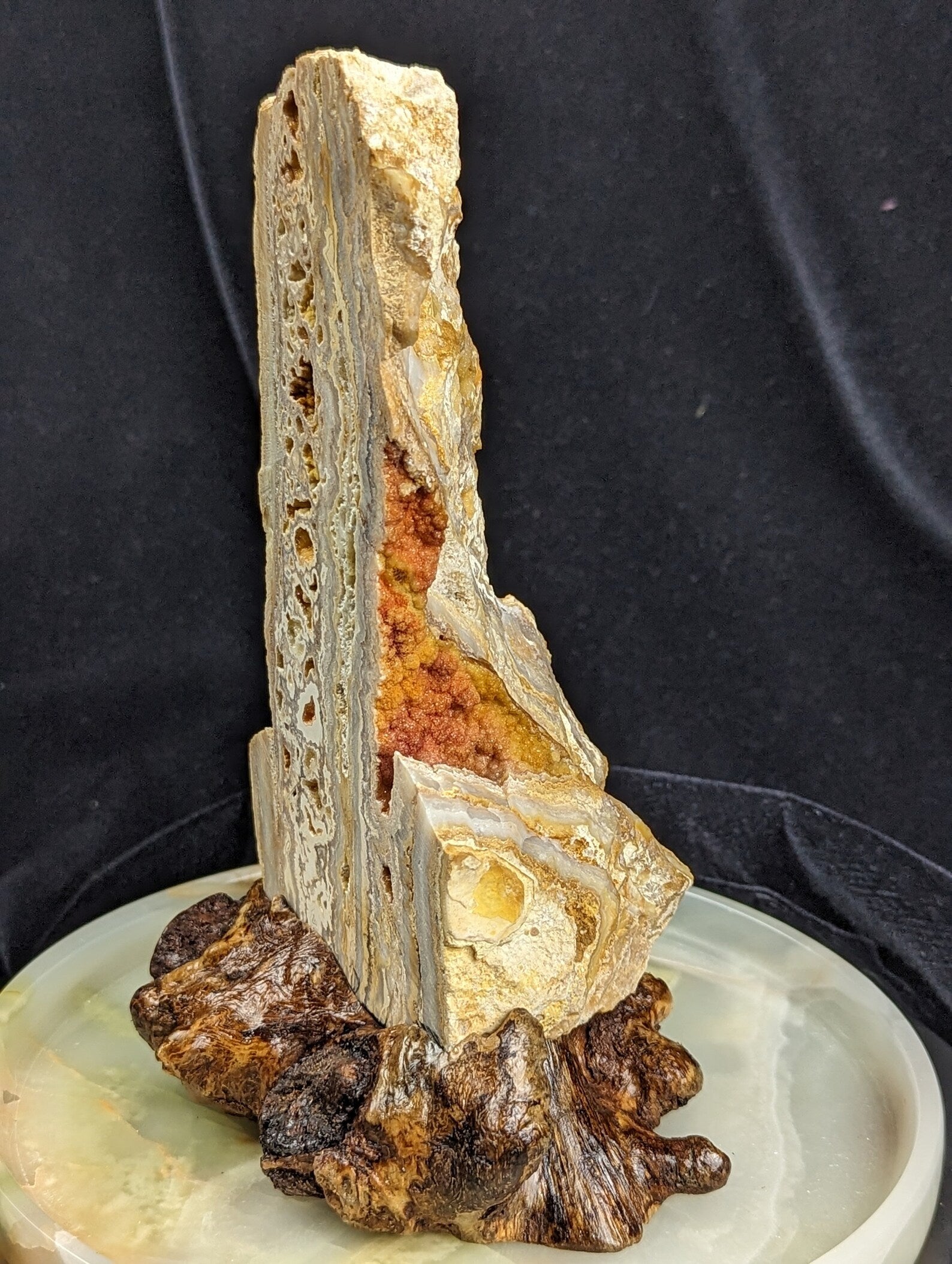 Yellow Crazy Lace Agate Geode Specimen with Mistletoe Wood Stand 1C