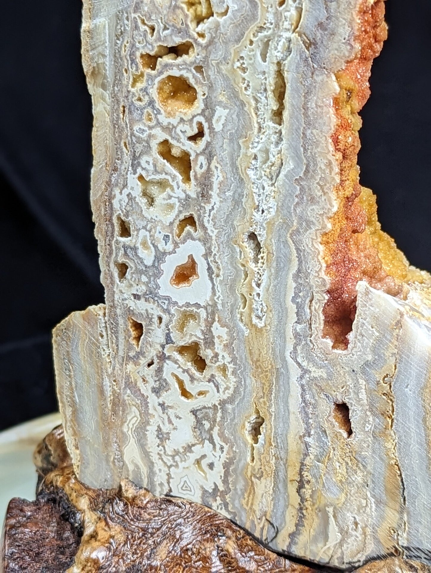 Yellow Crazy Lace Agate Geode Specimen with Mistletoe Wood Stand 1D