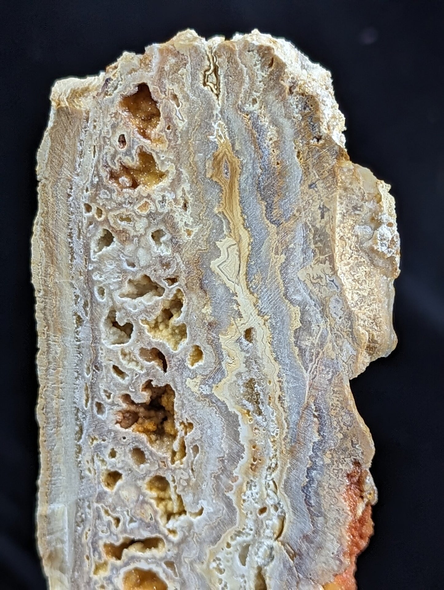 Yellow Crazy Lace Agate Geode Specimen with Mistletoe Wood Stand 1E
