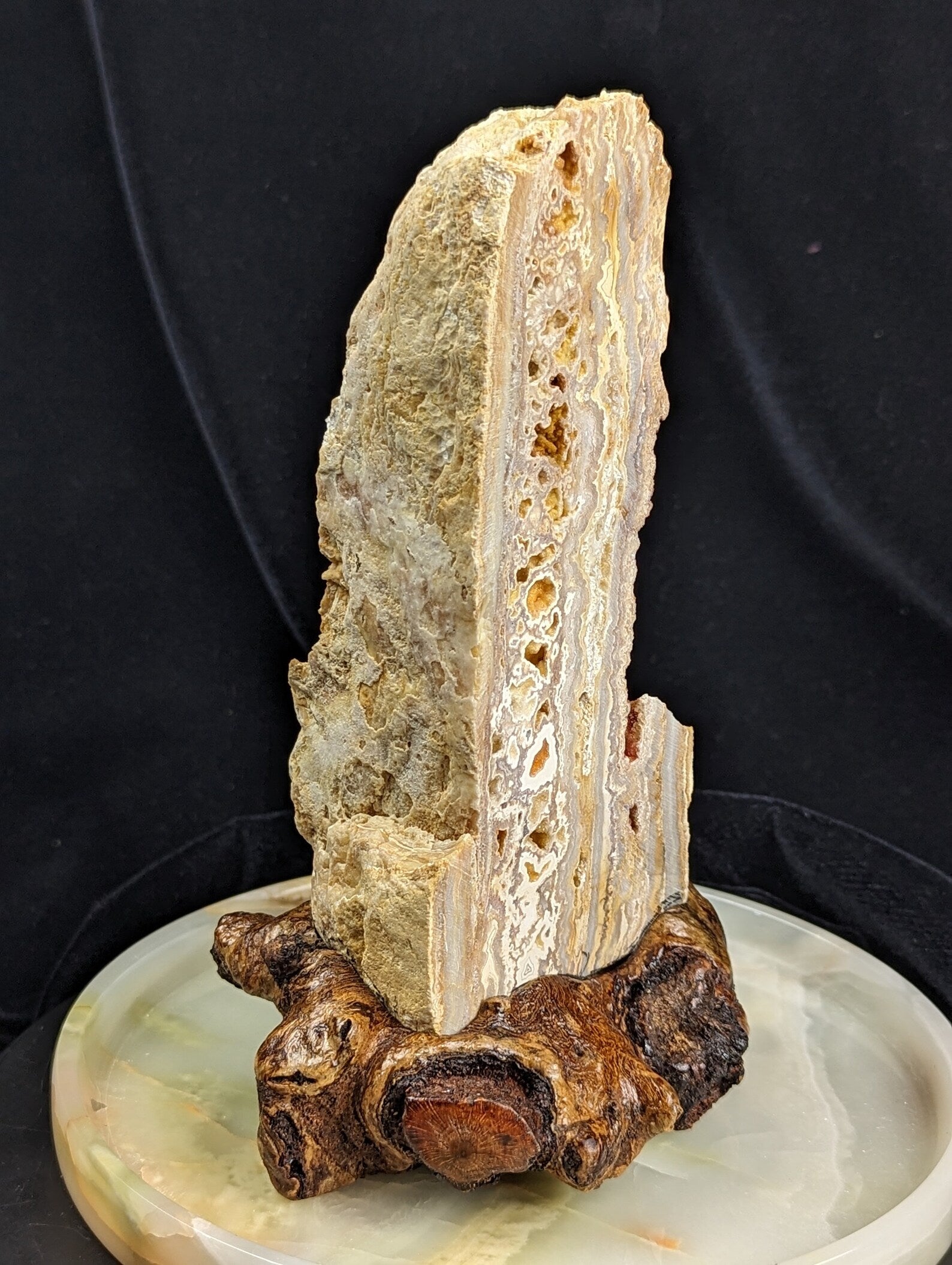 Yellow Crazy Lace Agate Geode Specimen with Mistletoe Wood Stand 1F