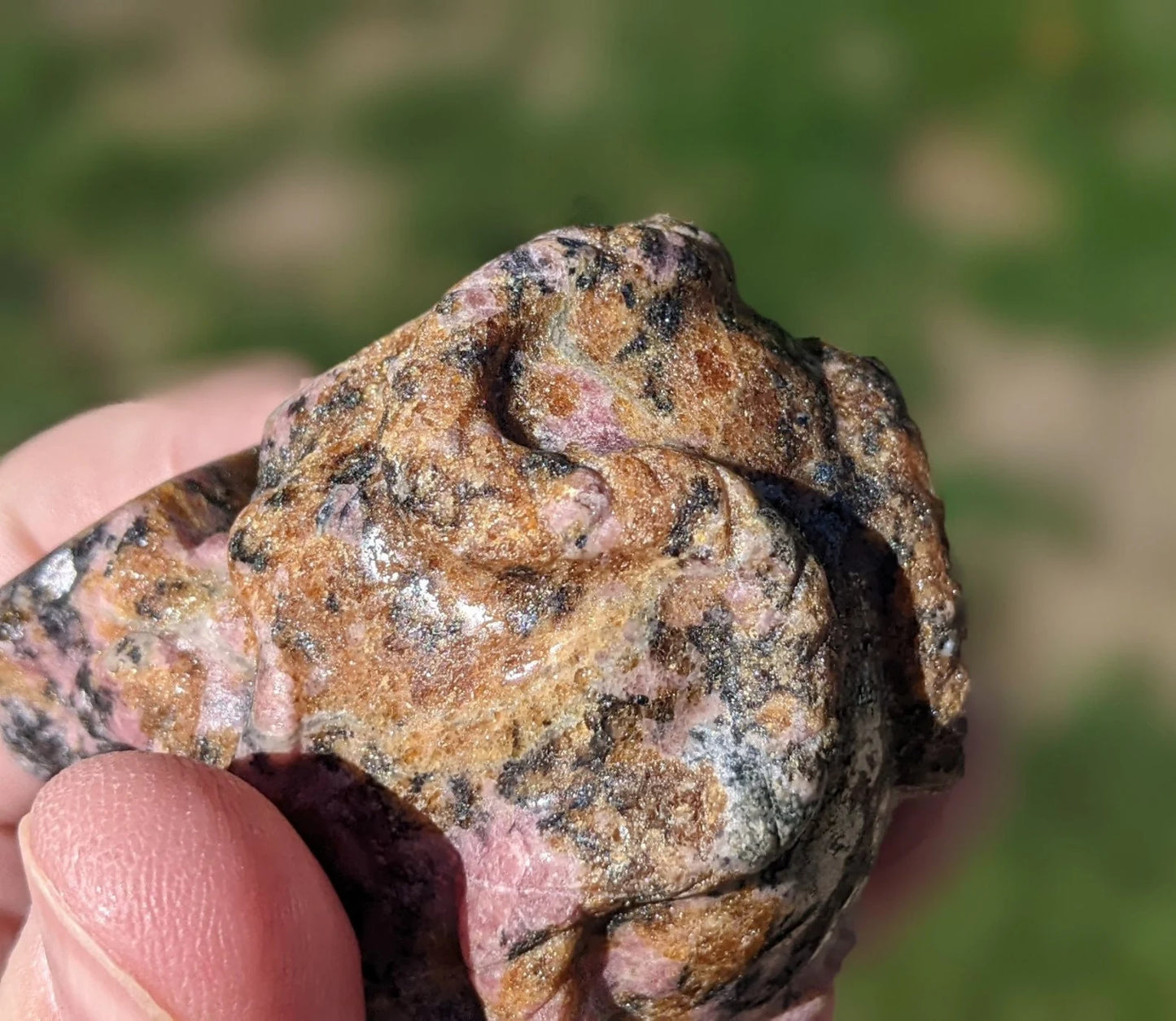 Rhodonite Skull and Snakes Carving