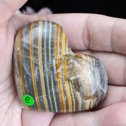 Pakistani Banded Bumblebee Jasper Palms and Hearts