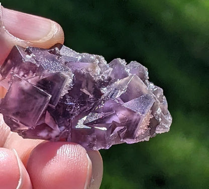 Translucent Purple Fluorite Crystal Specimen