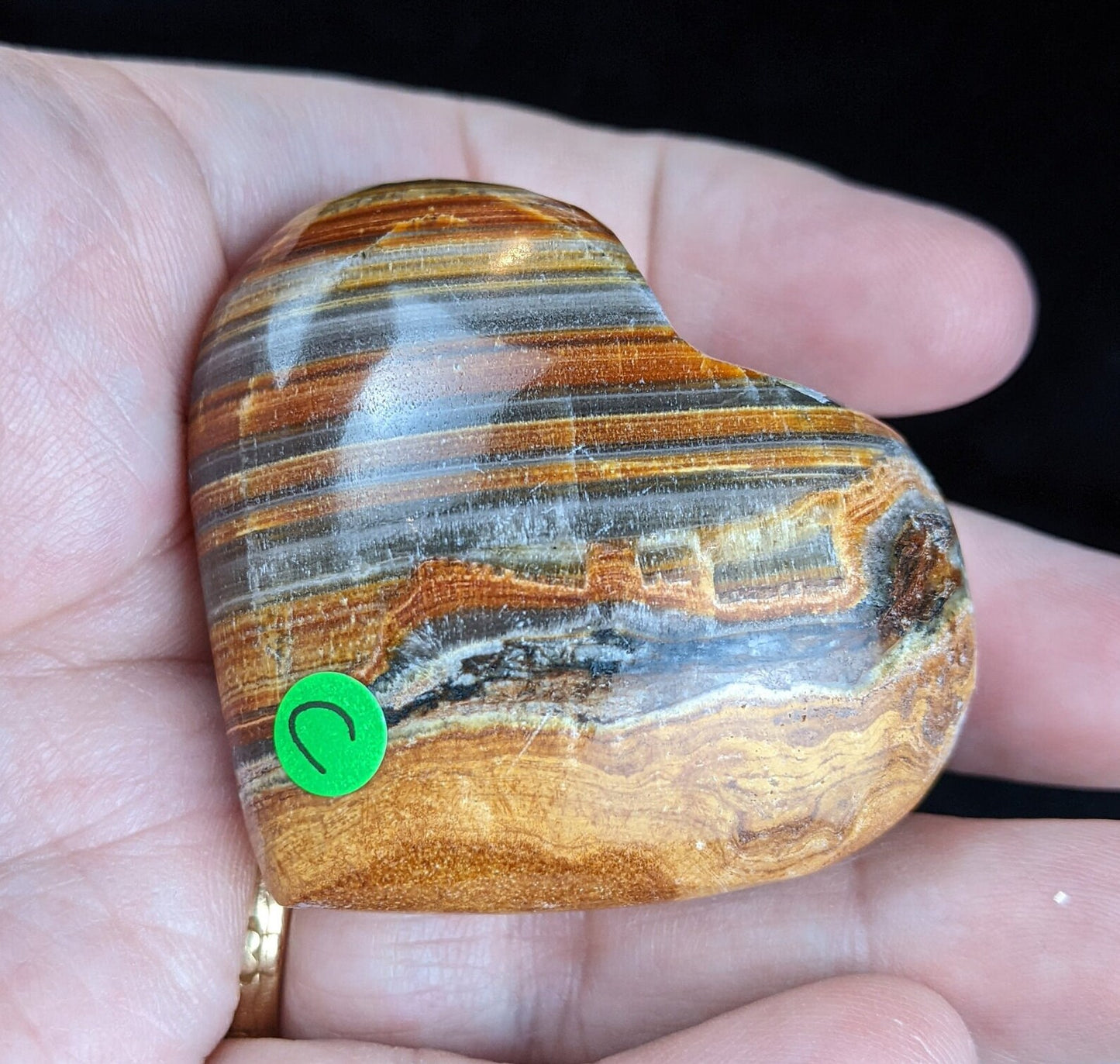 Pakistani Banded Bumblebee Jasper Palms and Hearts