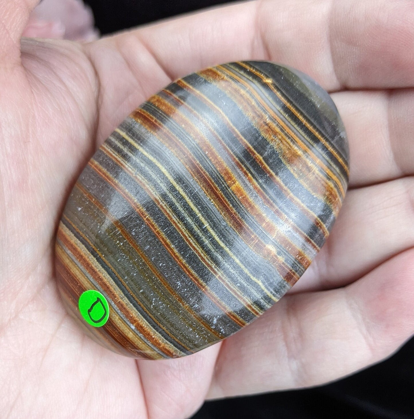 Pakistani Banded Bumblebee Jasper Palms and Hearts