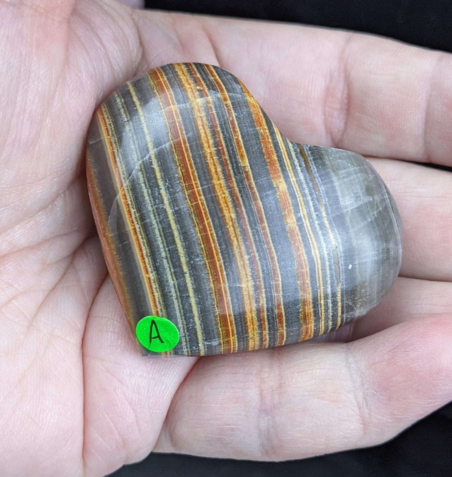 Pakistani Banded Bumblebee Jasper Palms and Hearts