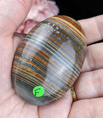 Pakistani Banded Bumblebee Jasper Palms and Hearts