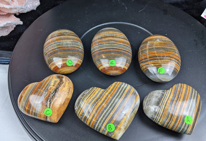 Pakistani Banded Bumblebee Jasper Palms and Hearts