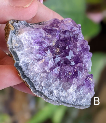 Raw Amethyst Crystal Clusters