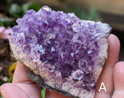 Raw Amethyst Crystal Clusters