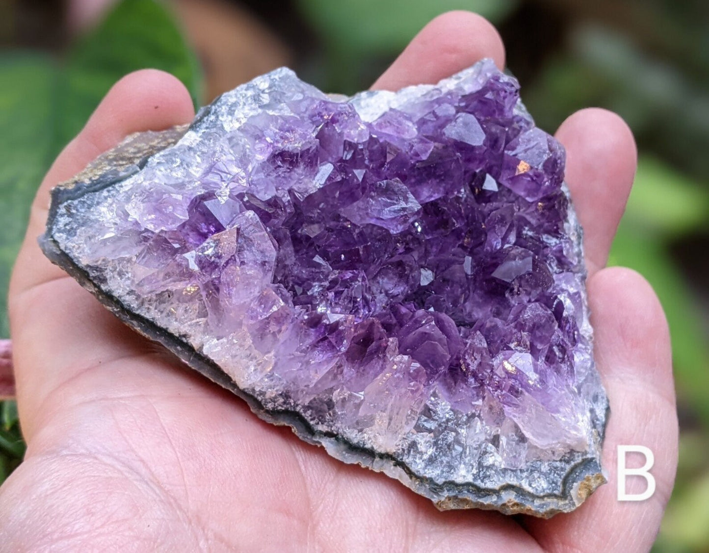 Raw Amethyst Crystal Clusters