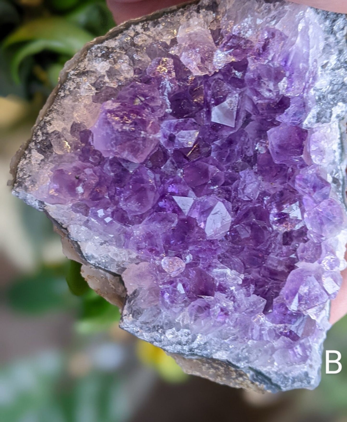 Raw Amethyst Crystal Clusters