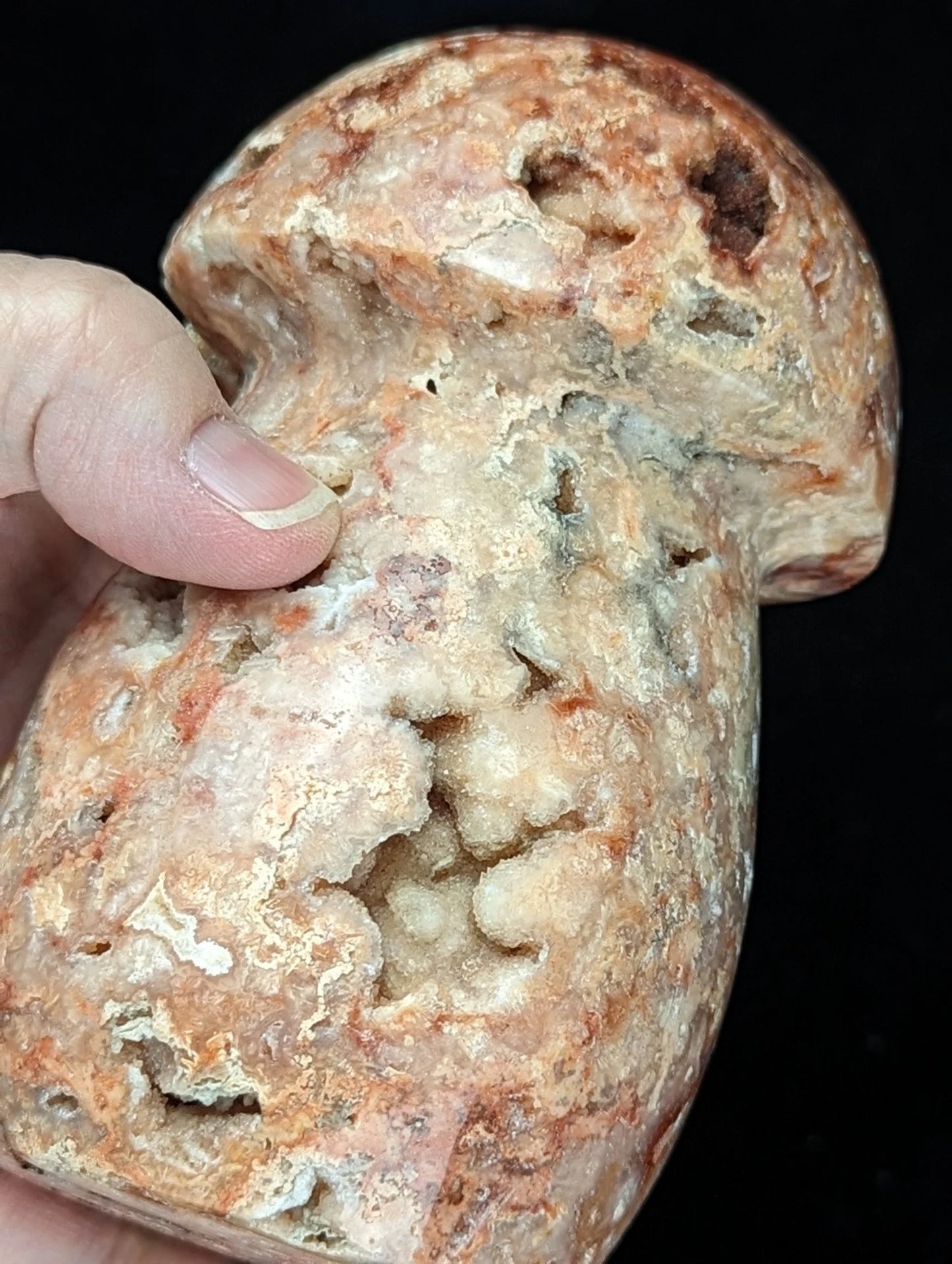 Extra Large Druzy Pink Crazy Lace Agate Mushroom