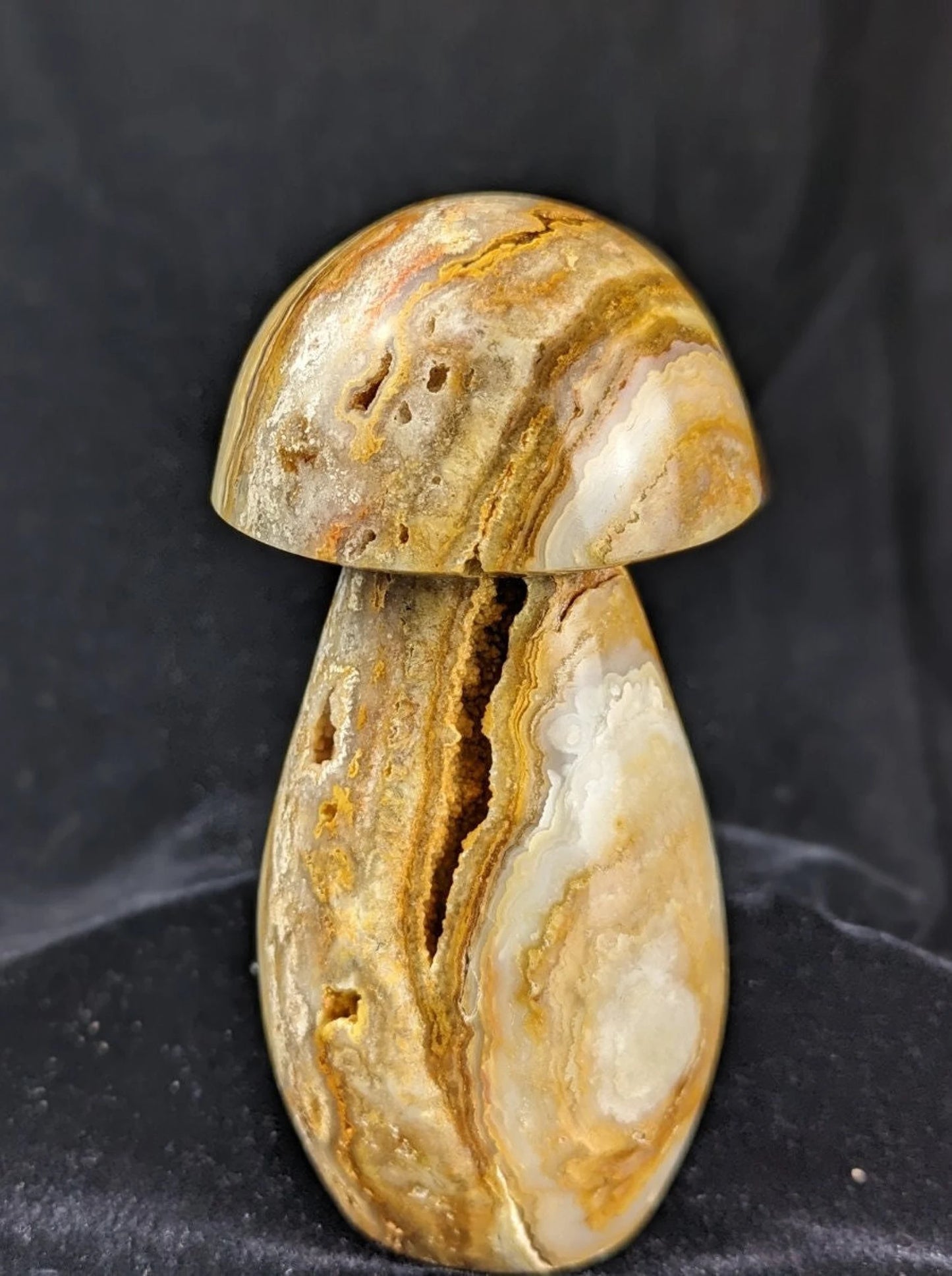 Extra Large Druzy Yellow Crazy Lace Agate Mushroom Carving