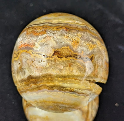 Extra Large Druzy Yellow Crazy Lace Agate Mushroom Carving