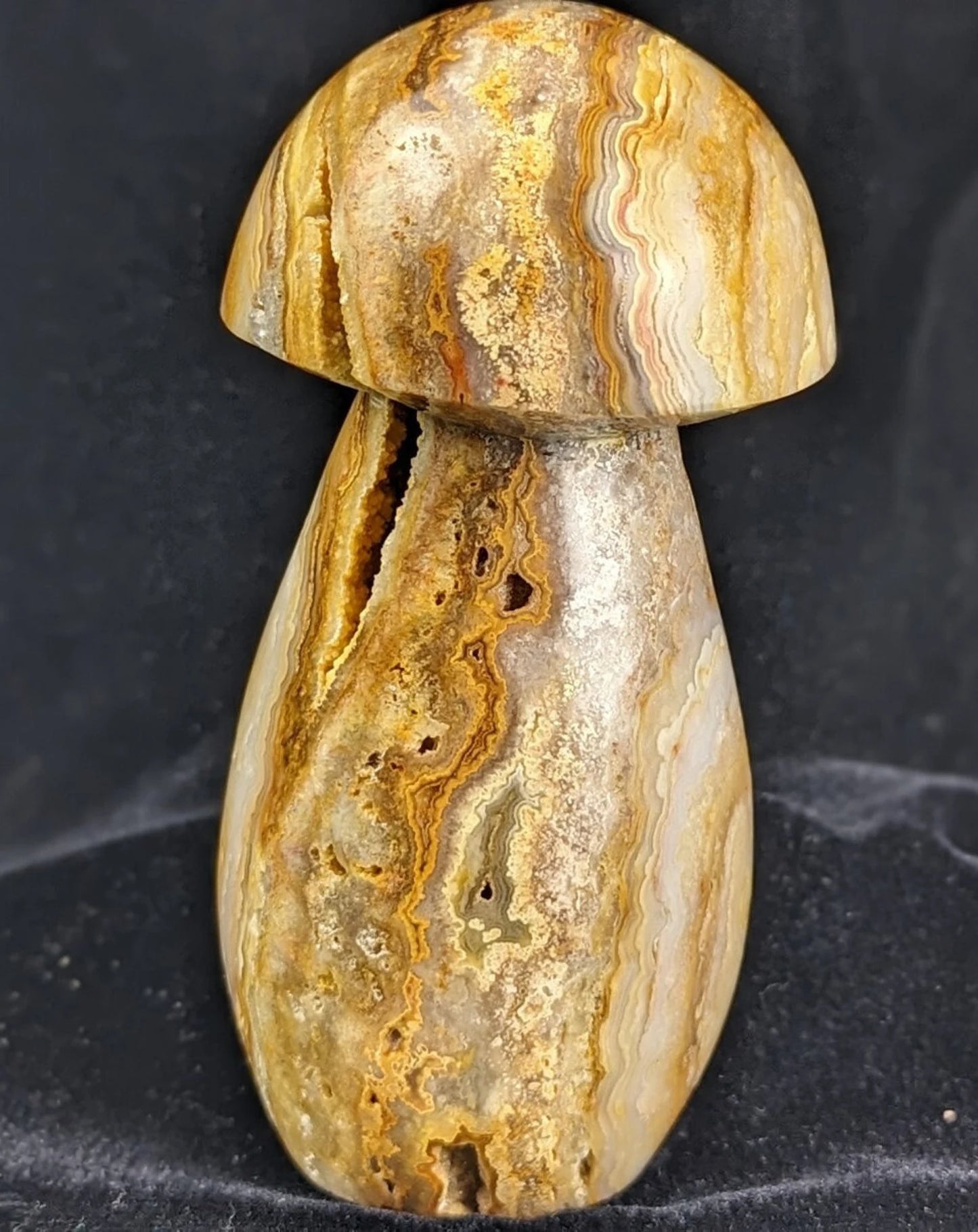 Extra Large Druzy Yellow Crazy Lace Agate Mushroom Carving