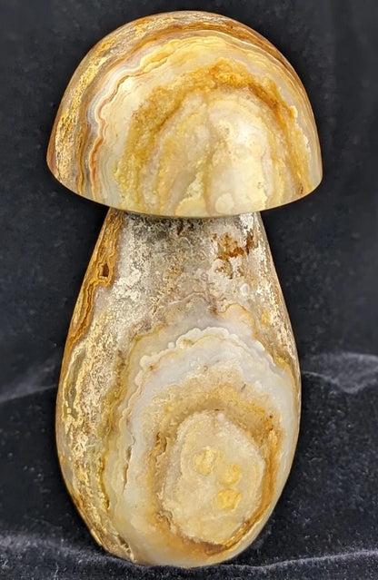 Extra Large Druzy Yellow Crazy Lace Agate Mushroom Carving