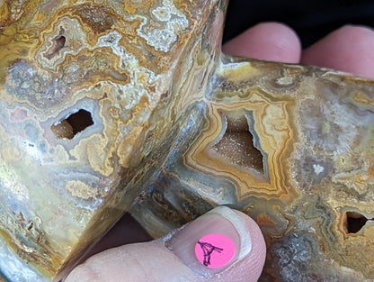 Large Yellow Crazy Lace Agate Mushroom Carving with Druzy Pockets