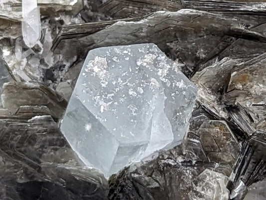 Raw Aquamarine with Muscovite Specimen ~ Aquamarine in Matrix