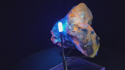 Rare Fluorescent Afghanite Specimen in Matrix with Phlogopite