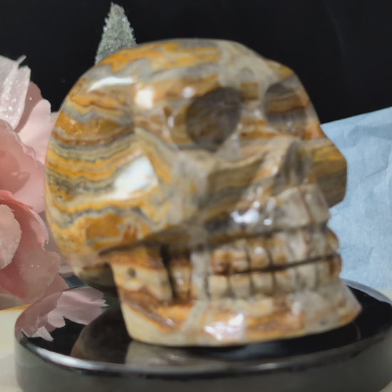 Pakistani Bumblebee Jasper Skull