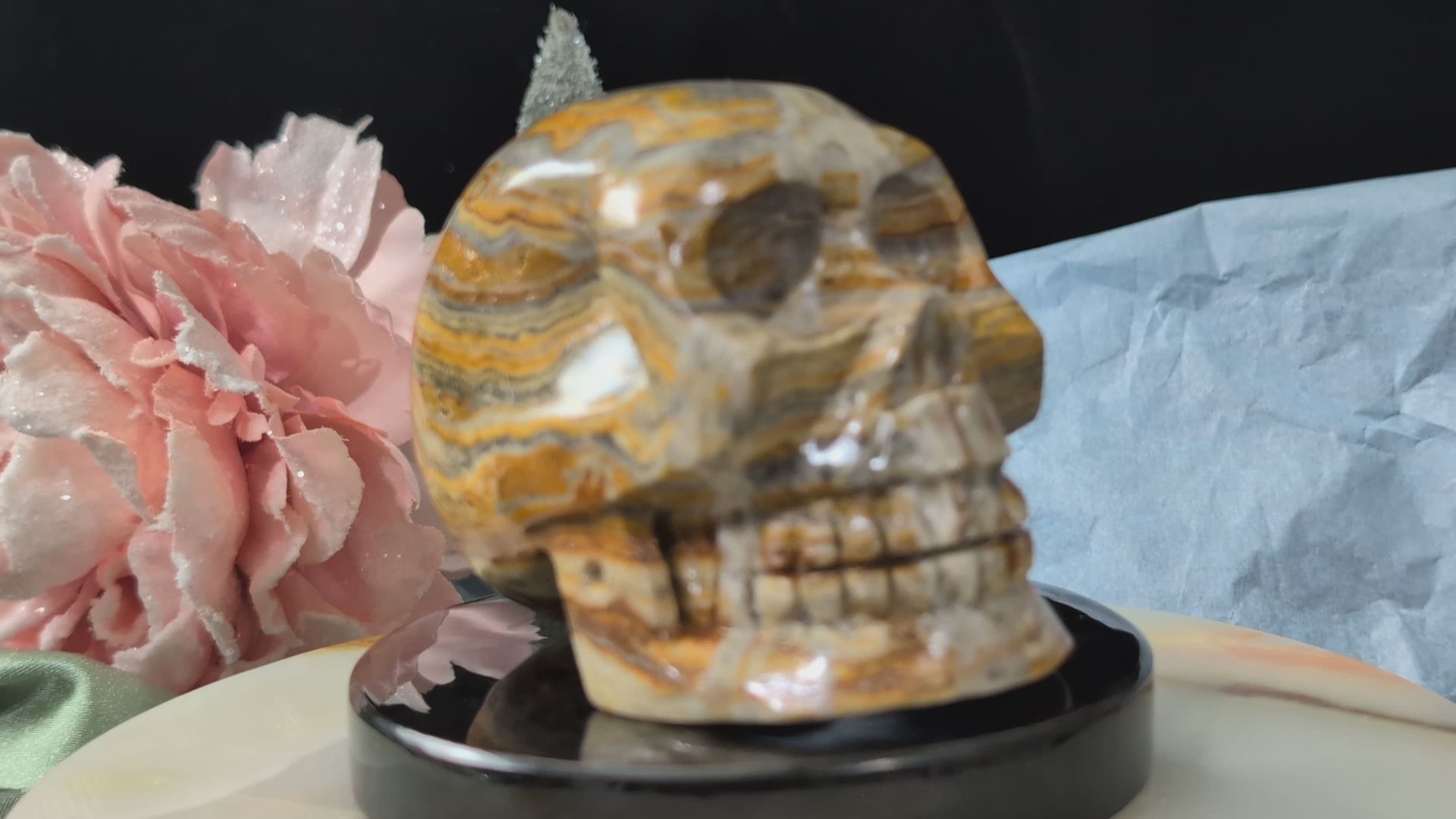 Pakistani Bumblebee Jasper Skull