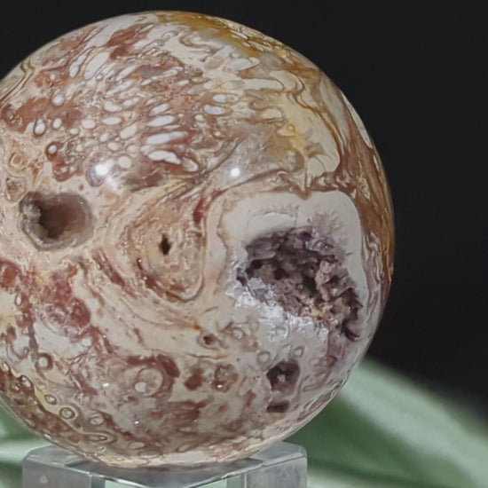 Petrified Wood Sphere