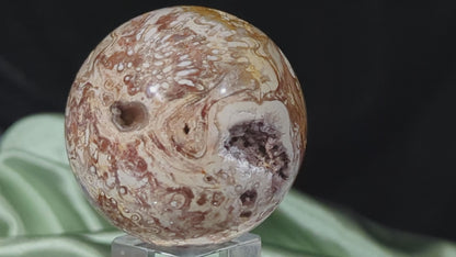 Petrified Wood Sphere