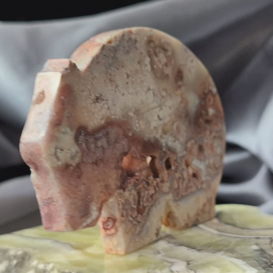 Pink Crazy Lace Agate Wombat Figurine