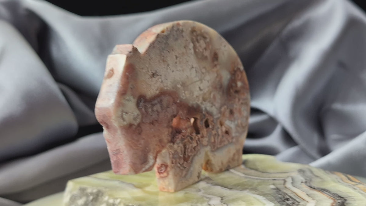 Pink Crazy Lace Agate Wombat Figurine