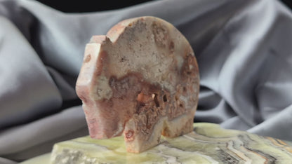 Pink Crazy Lace Agate Wombat Figurine