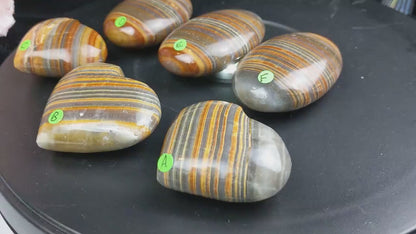 Pakistani Banded Bumblebee Jasper Palms and Hearts