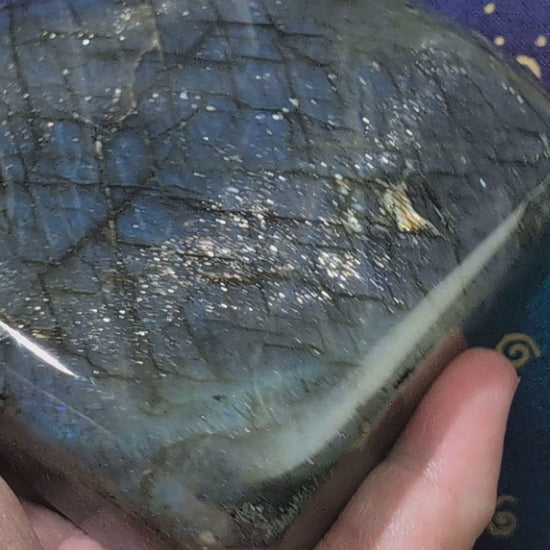 Flashy Blue Labradorite Freeform