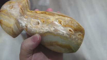 Extra Large Druzy Yellow Crazy Lace Agate Mushroom Carving