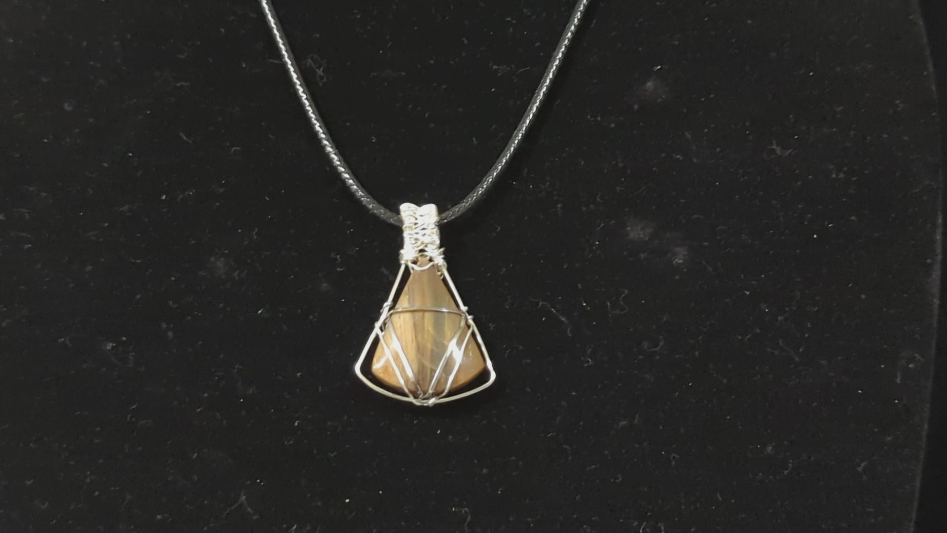 Wire Wrapped Petrified Wood Pendant
