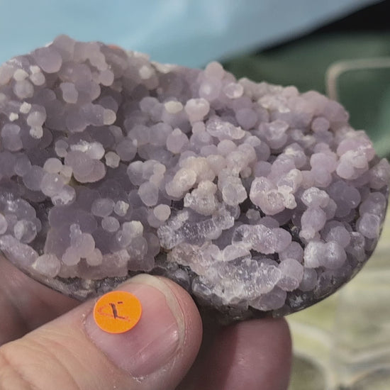 Lavender Grape Agate Palm Stone Specimens