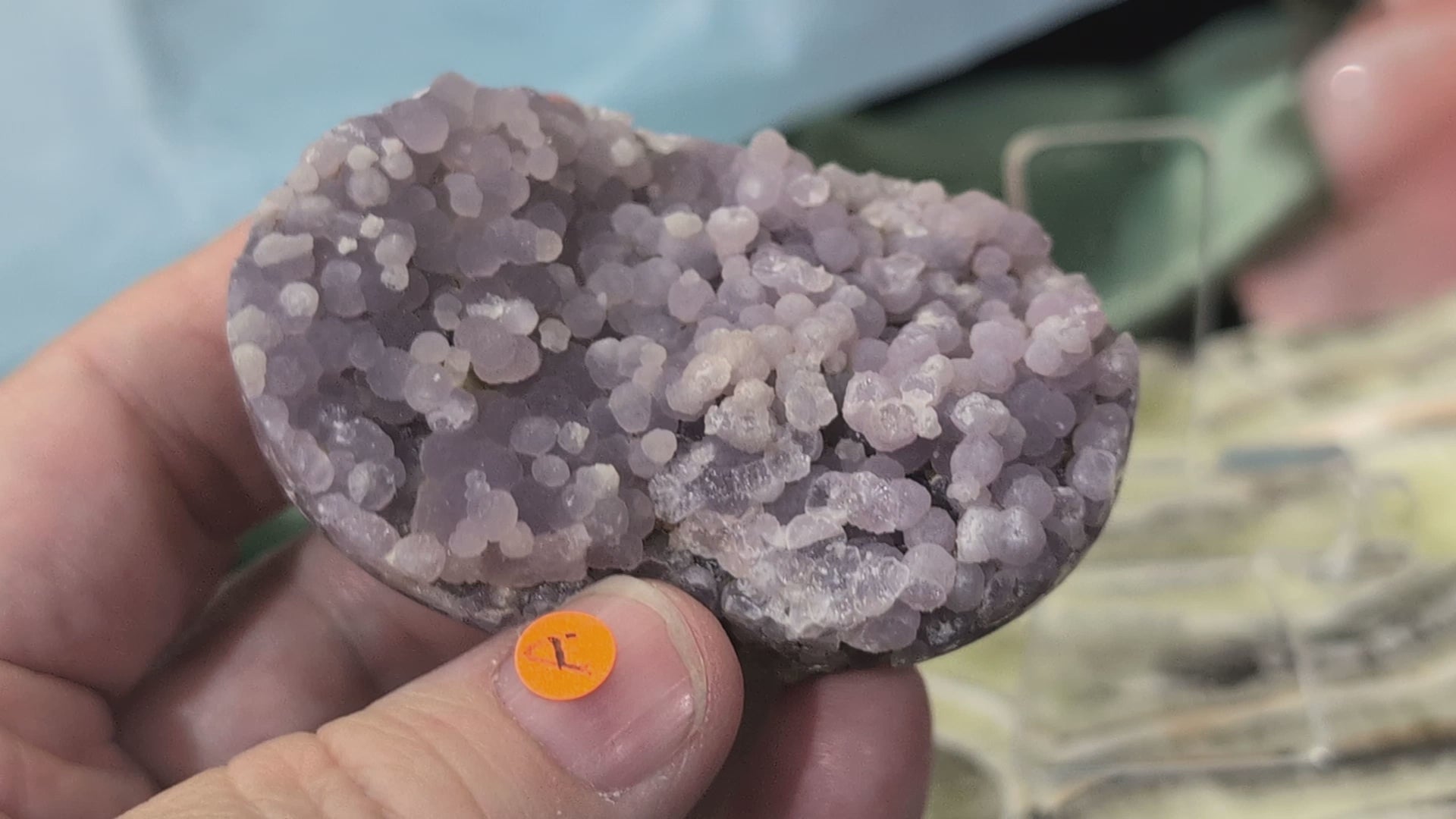 Lavender Grape Agate Palm Stone Specimens