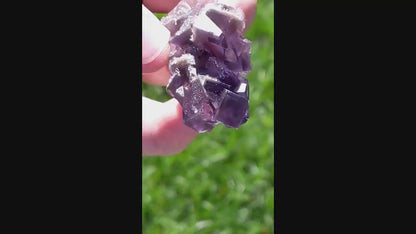 Translucent Purple Fluorite Crystal Specimen