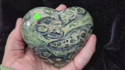 Puffy Kambaba Jasper Heart ~ Green Stromatolite Jasper